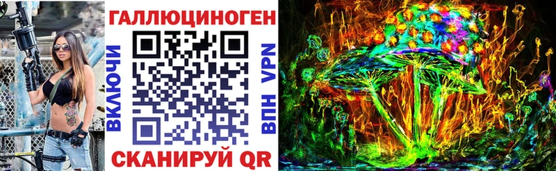 Галлюциногенные грибы Psilocybe Санкт-Петербург